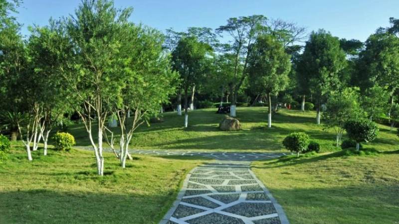 悟空体育平台介绍配图，画面右下角带 pk885.cn 域名水印